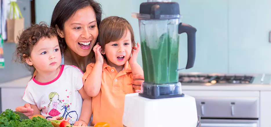 Juicer and Mixer Blender Repair in Chelsea 