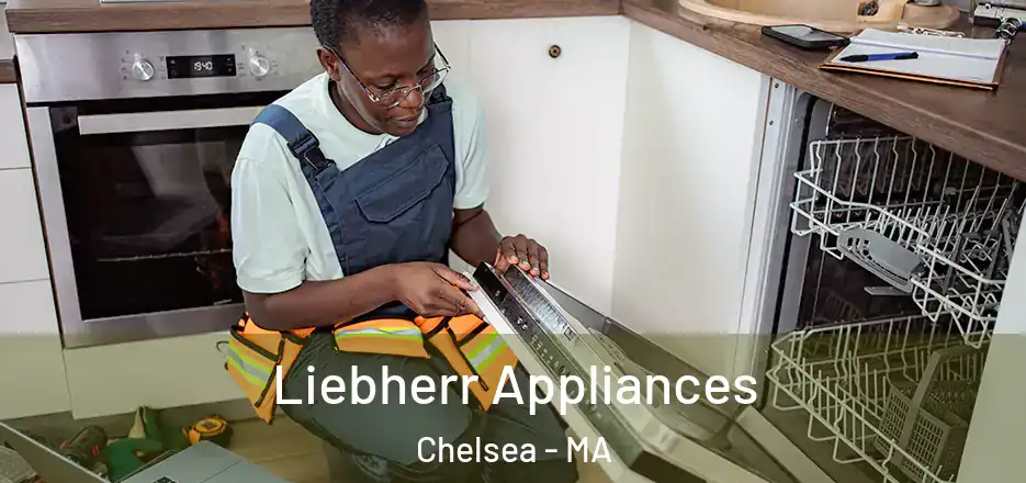 Liebherr Appliances Chelsea - MA