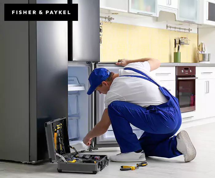 Top-Rated Fisher & Paykel Appliance Experts: Your Brand Specialist in Chelsea, MA