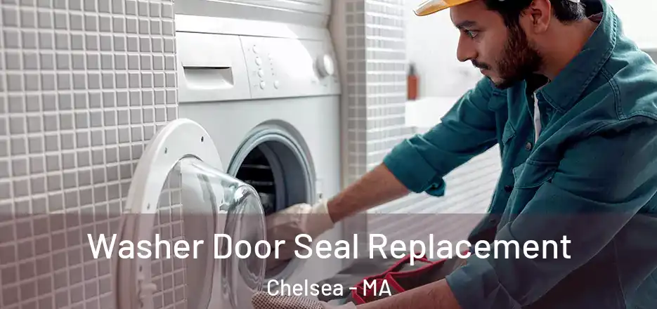  Washer Door Seal Replacement Chelsea - MA